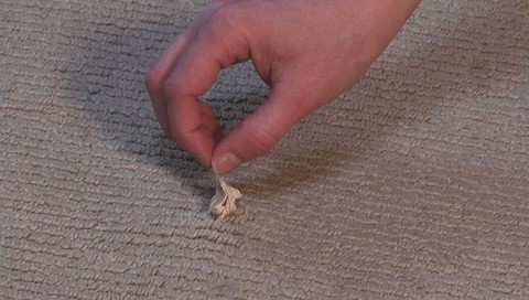 How To Clean Chewing Gum From Carpet