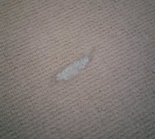 How to remove toothpaste off carpet