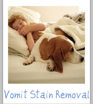 how to remove vomit on carpet